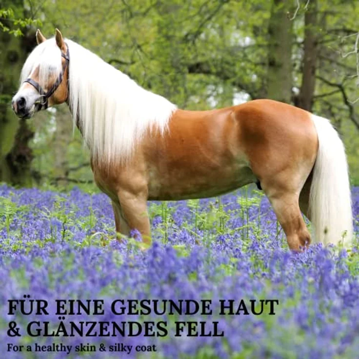 Stiefel Zink Plus für Pferde, hochwertige Futterergänzung mit Zink, Eisen, Kupfer, Mangan & Selen, unterstützt Immunsystem, Haut & Fellwechsel, 3kg – Bild 4