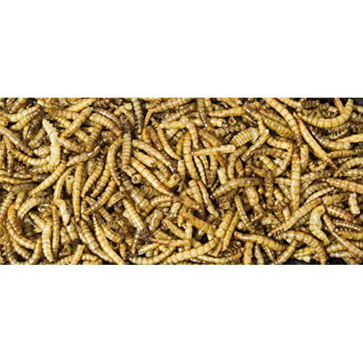 JR Farm Mehlwürmer, Eiweißreicher Snack für Wildvögel, 400 g, naturbelassen ohne Zusatzstoffe – Bild 2