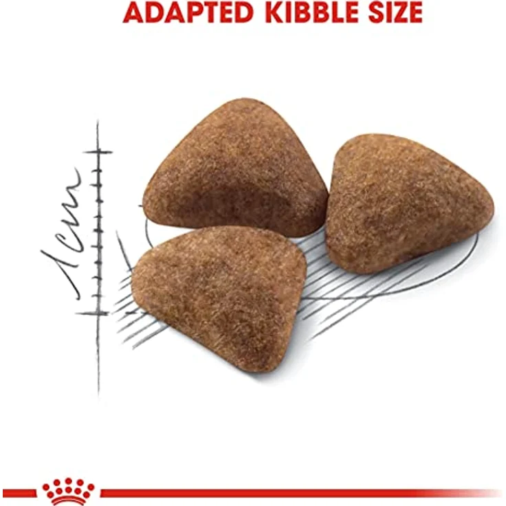 Royal Canin Home Life Indoor 27, 10 kg Katzenfutter für Wohnungskatzen mit L.I.P.-Proteinen, fördert gesunde Verdauung und Harnwege – Bild 5