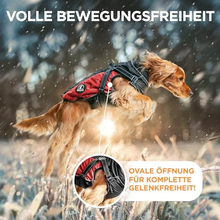 Tierhood Regenmantel Hund, wasserdicht mit integriertem Geschirr, reflektierende Regenjacke für kleine Hunde, optimale Passform und Sicherheit bei Dunkelheit – Bild 5