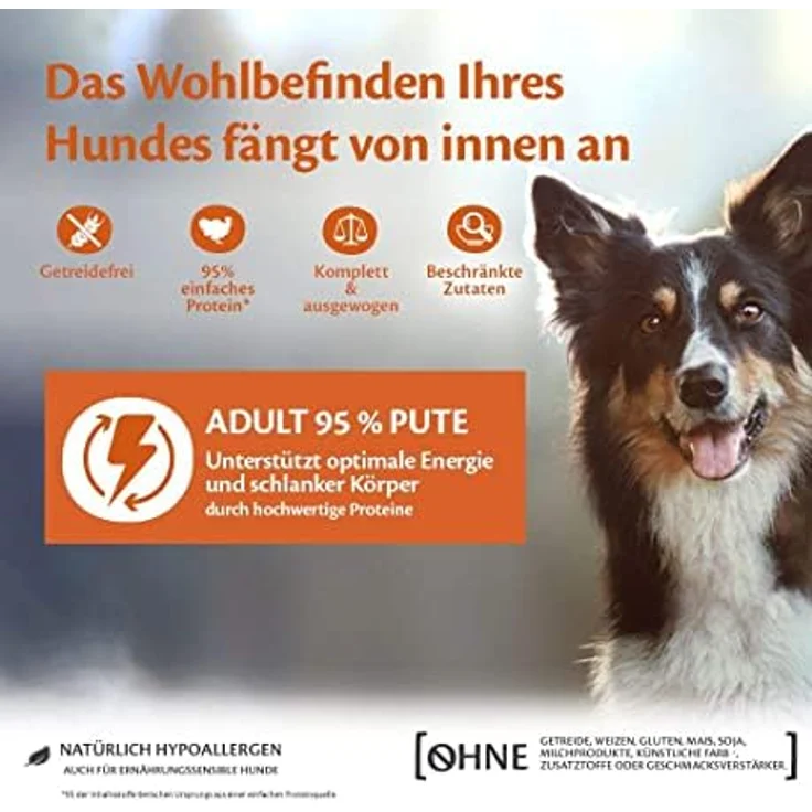 Wellness CORE 95% Turkey & Kale, Nassfutter für ausgewachsene Hunde, 6 x 400g, getreidefrei, hypoallergen, proteinreich, hoher Fleischanteil – Bild 3