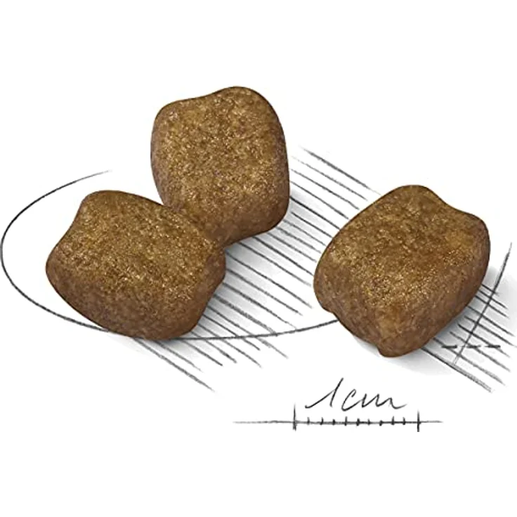 Royal Canin Dental Care Mini, Hundefutter zur Zahnsteinprävention, 3 kg – Bild 3