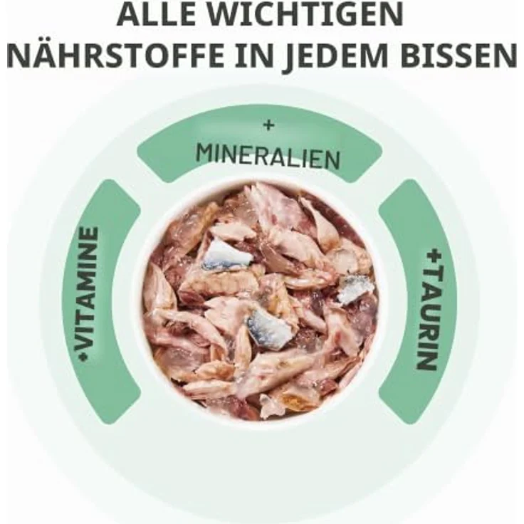 Schesir Complete Nutrition Filet in Gelee, Katzen-Nassfutter mit Thunfisch und Garnelen, 6 x 50 g, hohes Feuchtigkeitsniveau, hohe Proteingehalte, natürliche Rezeptur – Bild 4