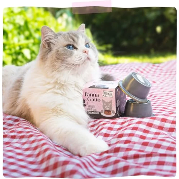 MjAMjAM Panna Gatto, Katzen-Nassfutter mit Huhn & Lachs, getreide- und glutenfrei, 2 x 80 g – Bild 6