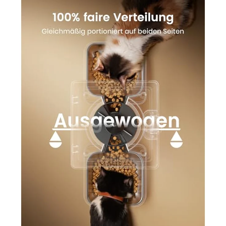 oneisall 5L Futterautomat für Katzen, Katzenfutterspender mit 2 Edelstahlnäpfen, Sprachaufnahme, Portionskontrolle und doppelte Stromversorgung – Bild 4