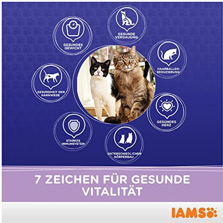 Iams Proactive Health Multi-Cat, Katzenfutter mit Huhn und norwegischem Lachs, 15 kg, für gesunde Haut und glänzendes Fell – Bild 3