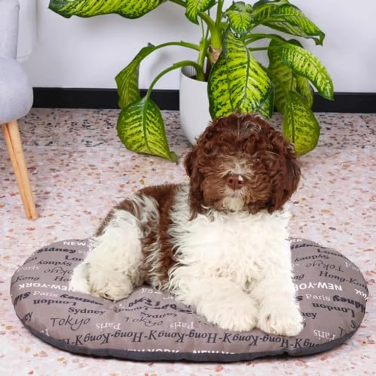 Ferplast Relax Hundekissen für mittelgroße Hunde und Katzen, waschbar, 78 x 50 CM, braun – Bild 3