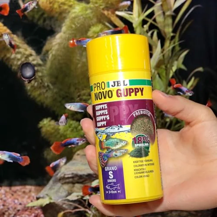 JBL PRONOVO GUPPY GRANO, Fischfutter-Granulat für Guppys, prebiotisch, 250ml – Bild 5