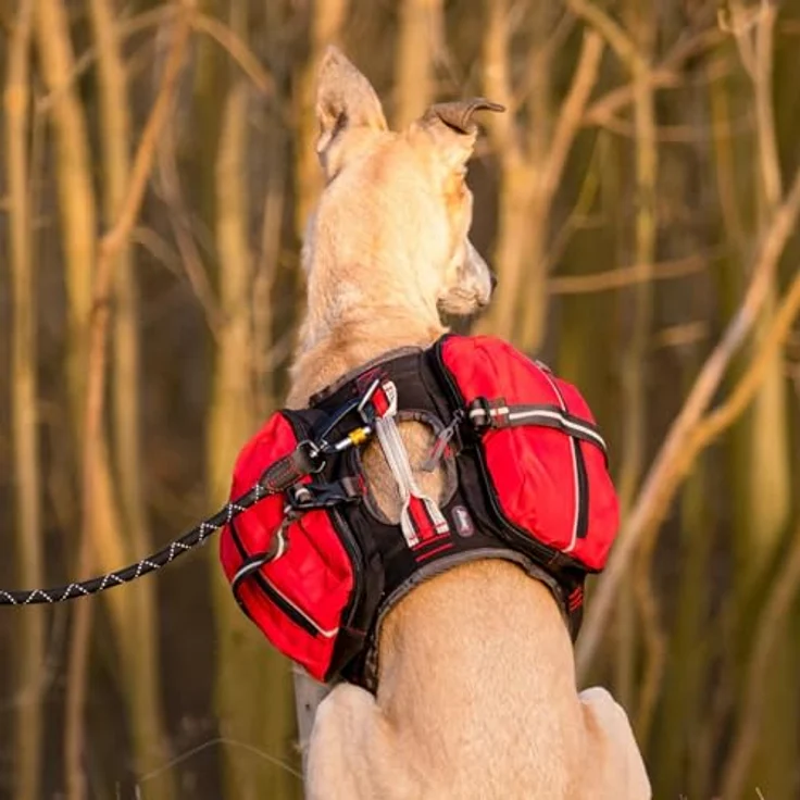 iEnergy MAL Rucksack für Hunde S – Bild 5