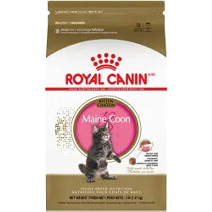 Royal Canin Kitten Maine Coon, Trockenfutter für Rassekatzen, 2 kg Packung – Bild 1
