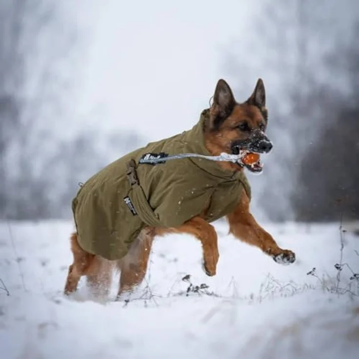 Non-stop dogwear Glacier Dog Jacket Wording Dog Olive (65), Taktische Winterjacke mit Patches – Bild 4