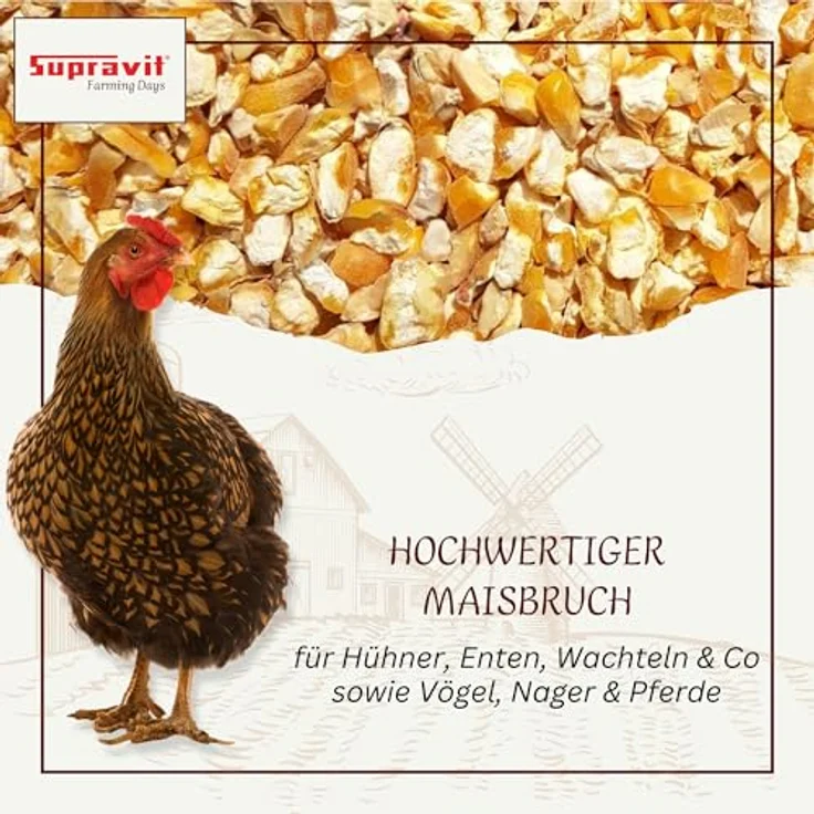 Supravit Maisbruch, 5kg geschroteter, getrockneter Mais für Vögel, Hühner, Kaninchen & Pferde, hochverdauliches Einzelfutter oder Mischfutter – Bild 2