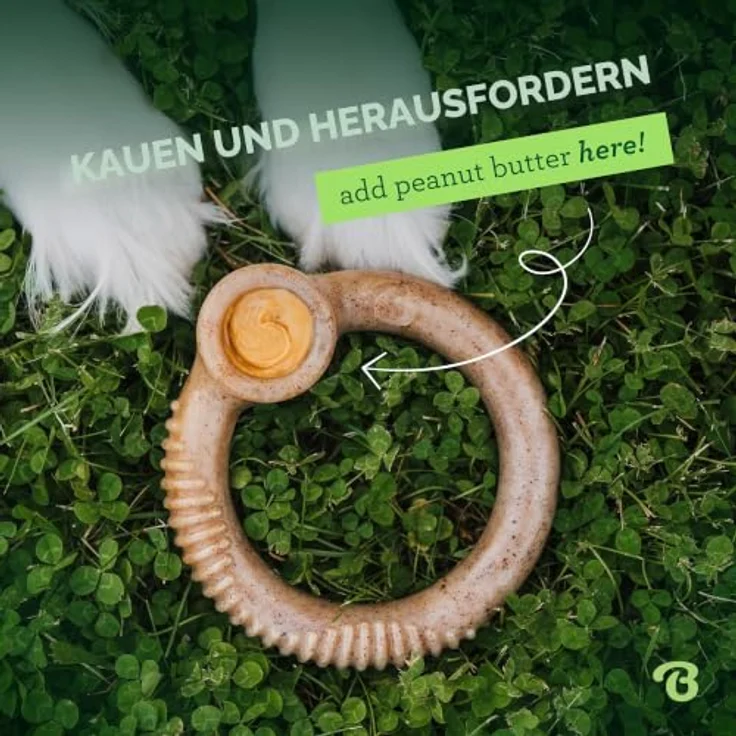 Benebone Ring, unzerstörbares Kauspielzeug für aggressive Kauer mit echtem Speckgeschmack, für kleine Hunde bis 30 Pfund – Bild 5