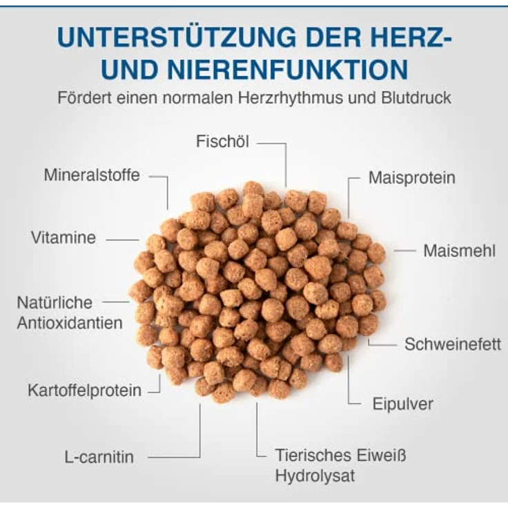 SPECIFIC® Kidney Support (FKD) 2kg, Trockenfutter für Katzen mit Omega-3 und Krillöl, reduzierter Proteingehalt zur Nierenentlastung für Erwachsene – Bild 3