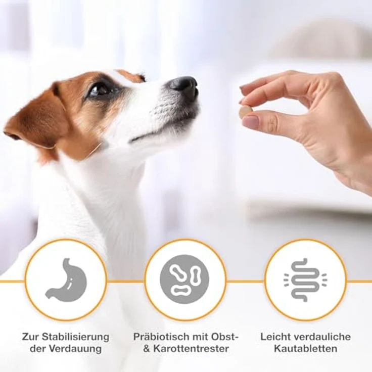 Alfavet Dia Tab, Ergänzungsfuttermittel für Hunde und Katzen bei Durchfall, 6 x 5,5g, hochakzeptable Kautabletten, ideal für unterwegs – Bild 2