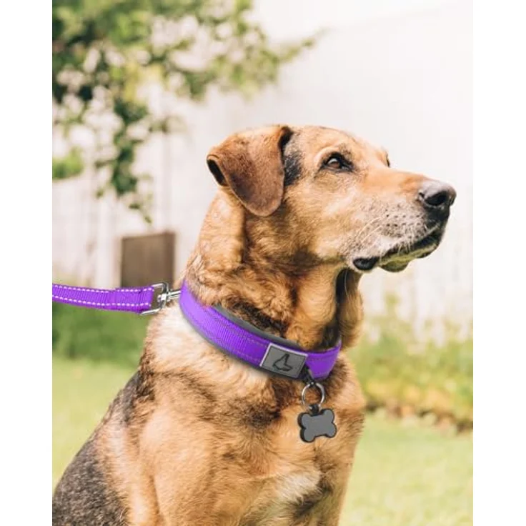Joytale Neopren Hundehalsband Gepolstert, Reflektierend für Extra Große Hunde, Lila – Bild 3