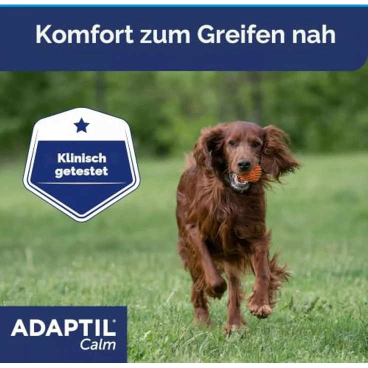 ADAPTIL Calm Beruhigendes Halsband für Hunde M/L, Pheromone zur Stressbewältigung für mittelgroße und große Hunde, ideal für Reisen und Tierarztbesuche – Bild 3