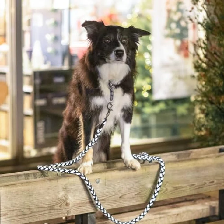 TRIXIE Hundeleine Cavo L–XL, 1,00 m ø 18 mm, grafit - Kurze Führleine für große bis sehr große Hunde mit stabilem Bolzenhaken und Handschlaufe – Bild 4