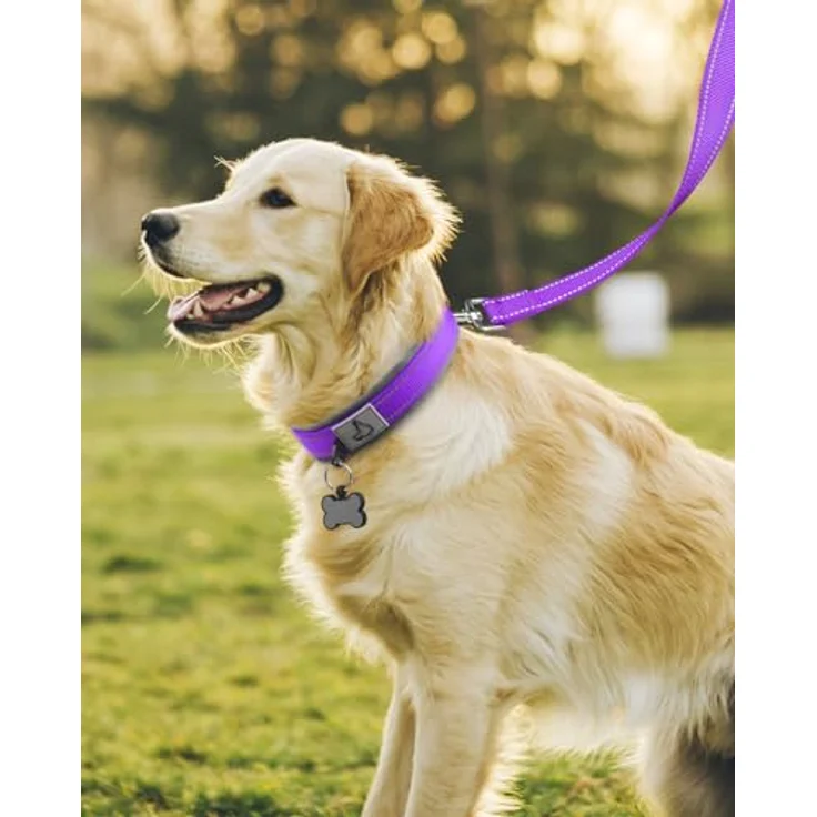 Joytale Hundehalsband, Gepolstertes Neopren Halsband für große Hunde, Nylon mit reflektierenden Nähten, Lila – Bild 3