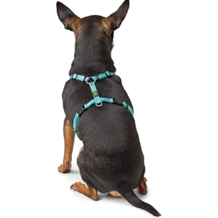 Hunter Hunde-Geschirr Tripoli hellblau XS-S – Bild 4
