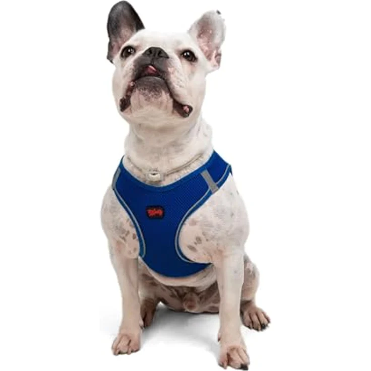 Tailpetz Air-Mesh Brustgeschirr für kleine und mittelgroße Katzen und Hunde – Weich, Atmungsaktiv, Strapazierfähig, Dunkelblau, L (Brustumfang 59–63,5 cm) – Bild 1