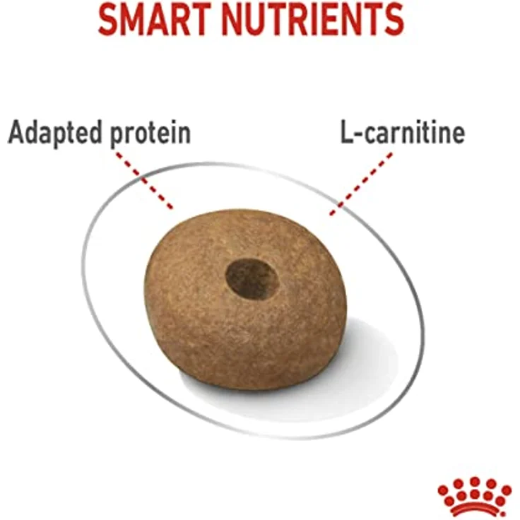 ROYAL CANIN Light Weight Care Medium, Hundefutter für mittelgroße Hunde zur Gewichtskontrolle, 12 kg – Bild 2