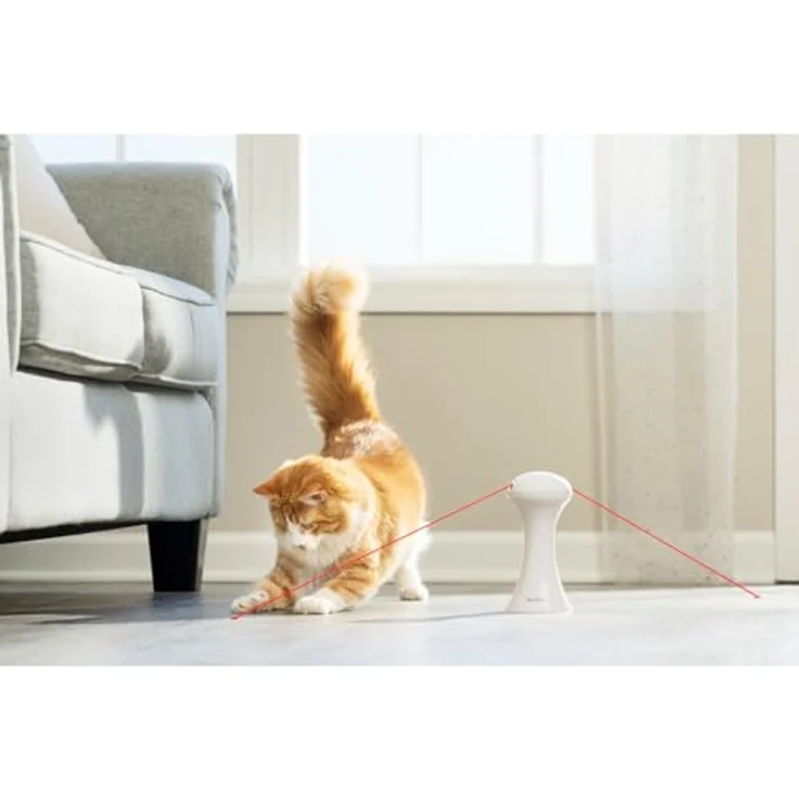 PetSafe Multi-Light Katzenspielzeug, Automatisches Lichtspielzeug zur aktiven Beschäftigung, 0,34 kg – Bild 4