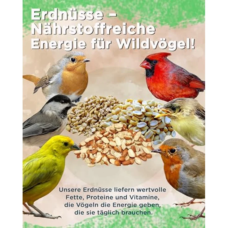 Futterbauer Erdnüsse blanchiert, 10 kg weiße & schalenlose Erdnusskerne für Wildvögel & Eichhörnchen, hochwertiges Vogelfutter, Ambrosia kontrolliert – Bild 3