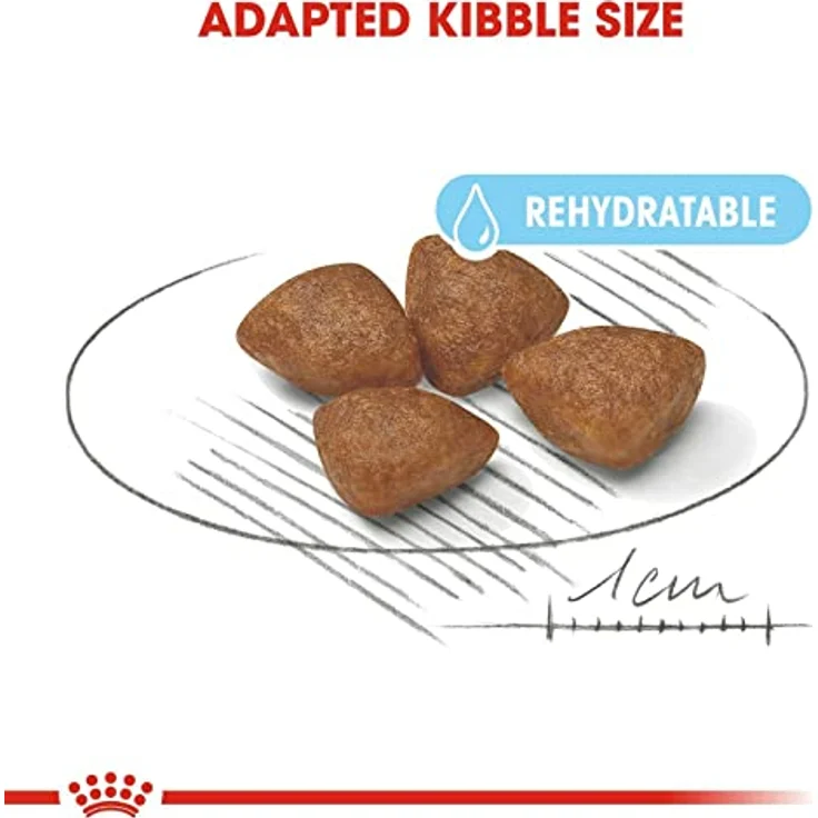 ROYAL CANIN Mini Starter 4 kg, Hundefutter für trächtige kleine Hündinnen und Welpen, hochverdauliche Proteine und Präbiotika für gesunde Verdauung – Bild 4