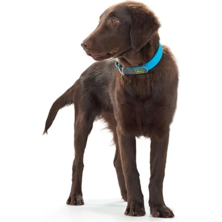 Hunter Hunde-Halsband Convenience türkis S – Bild 4