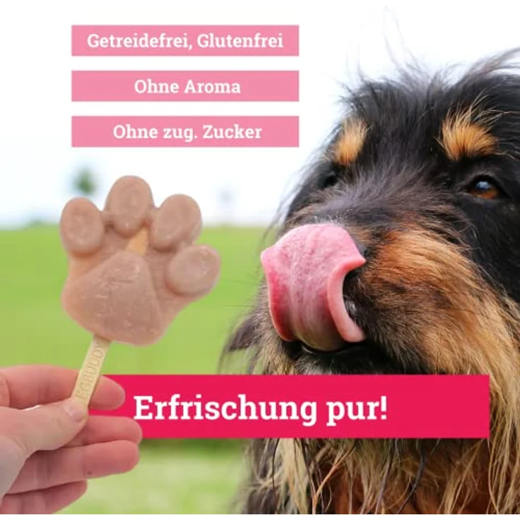 BeG Buddy EIS für Hunde, Hundeeis ohne Zuckerzusatz, natürliche Erdbeere & Kokos, glutenfrei, vegan, selbstgemacht – Bild 3