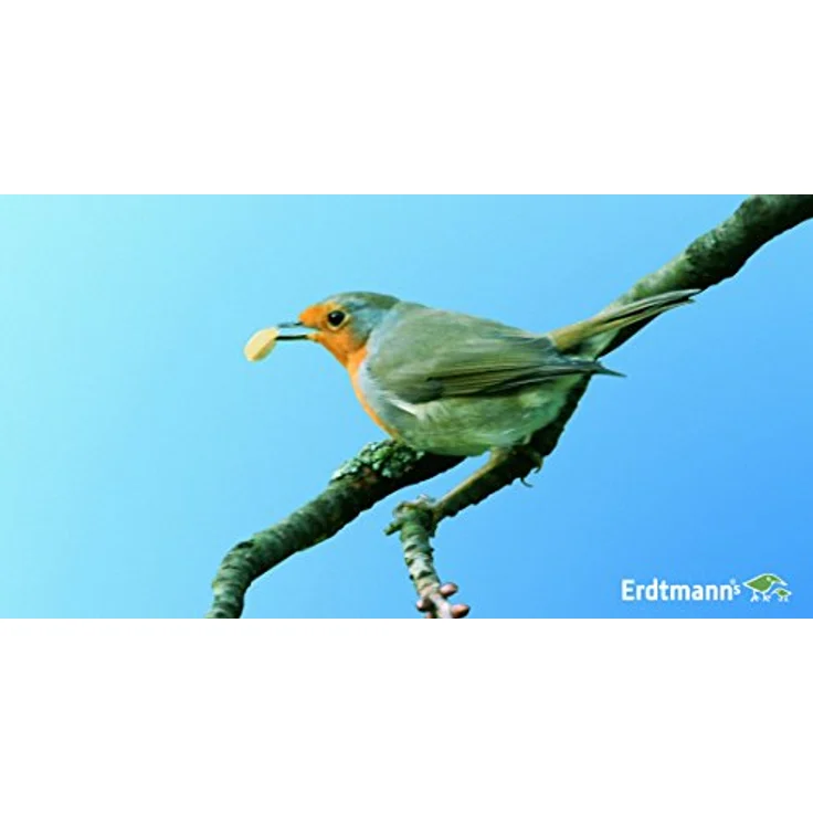 Erdtmann's Erdnussbruch, 2,5 kg, hochwertige Erdnüsse für Wildvögel und Eichhörnchen – Bild 3