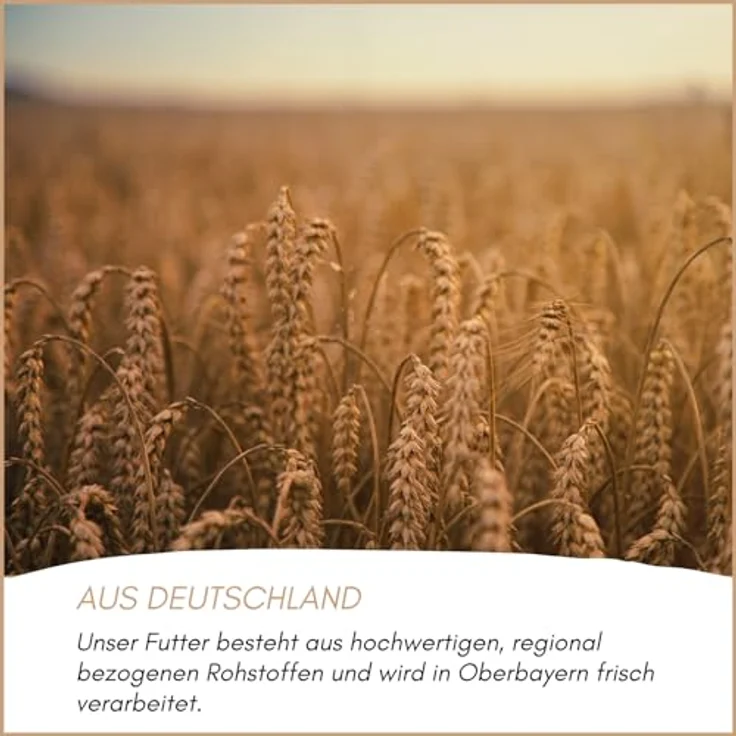 Supravit Agaporniden & Neophemafutter 5kg, ausgewogene Mischung aus gesunden Körnern und Saaten für Sittiche und Papageien, vitaminreich und artgerecht – Bild 4