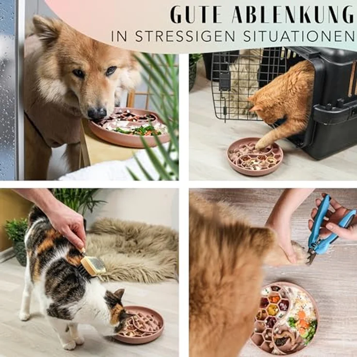 ne&no® Anti Schling Napf für Hunde und Katzen, Slow Feeder mit großem Saugnapf, Schleckmatte für Nassfutter und Trockenfutter, mauve – Bild 3