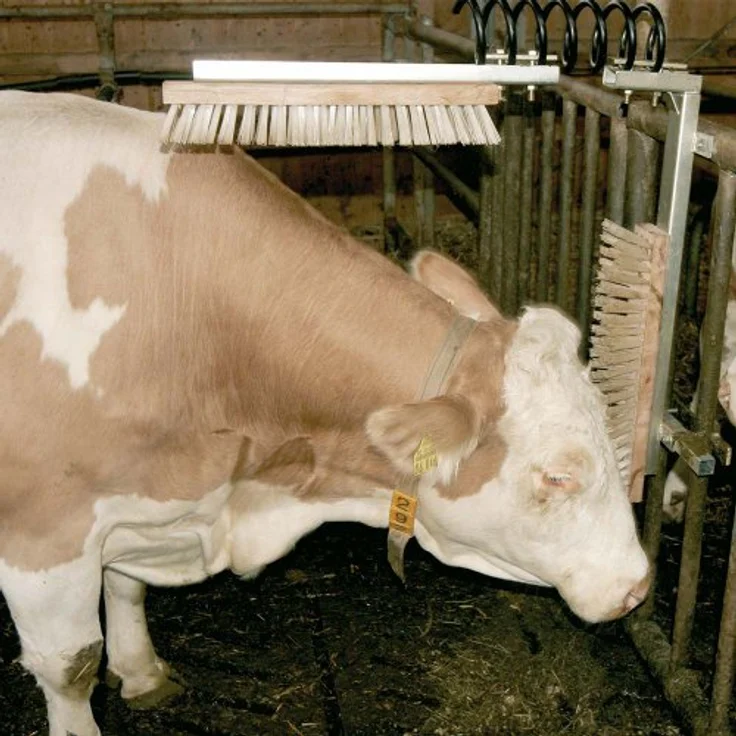Kerbl Viehbürste Texas, Stabile Ausführung mit horizontaler Bewegung, für Rinder, Kühe und Pferde – Bild 4