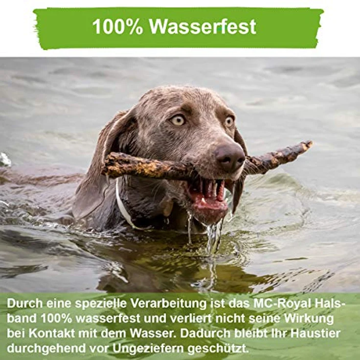 MC-Royal® Zeckenhalsband für Hunde, wasserdicht und verstellbar, effektiver Schutz vor Ungeziefern, 62 cm, 100% natürliche Inhaltsstoffe, bis zu 8 Monate Zeckenschutz – Bild 5