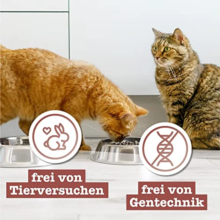 Catz Finefood MEATZ Huhn, knusprige Katzensnacks aus Hähnchenfleisch, 45g – Bild 6
