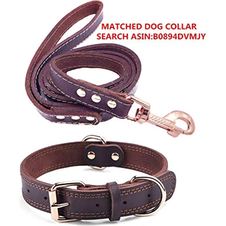 SLZZ Prämie Echtes Leder Hundehalsband, personalisierbar mit goldenem ID-Etikett, für kleine bis große Hunde (XS-XL) – Bild 3