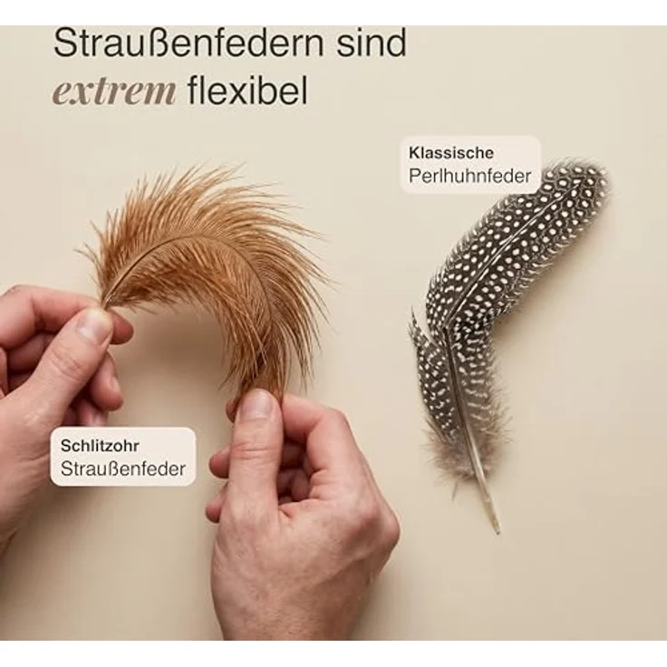 SCHLITZOHR Ersatzfedern für Katzenangel, 5er Set mit extrem langlebigen Straußenfedern – Bild 4