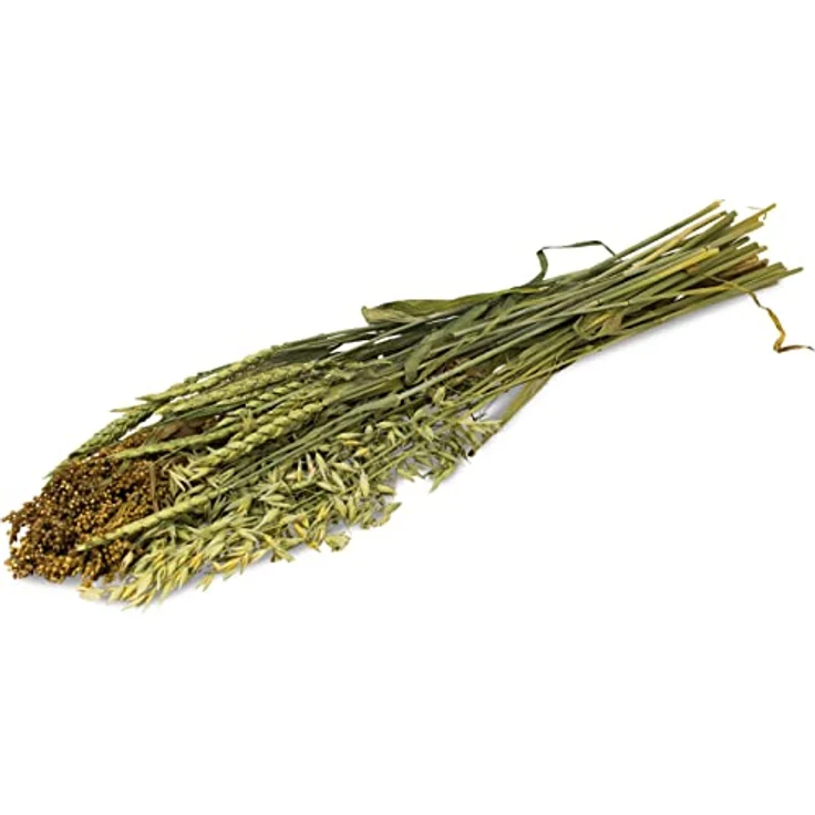 JR FARM ESN Sommer-Ernte, Kleintierfutter mit Rispenhirse, Dinkel und Hafer, 80 g – Bild 2