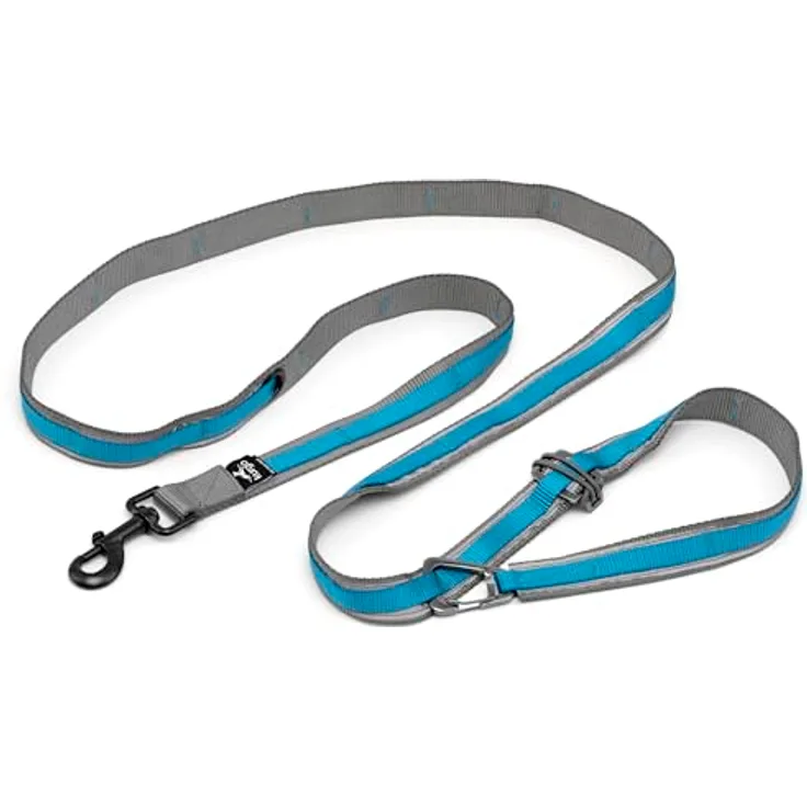 Kurgo Quantum Nylon Leine, 120-180 cm höhenverstellbar, blau, freihändiges Design für Hunde