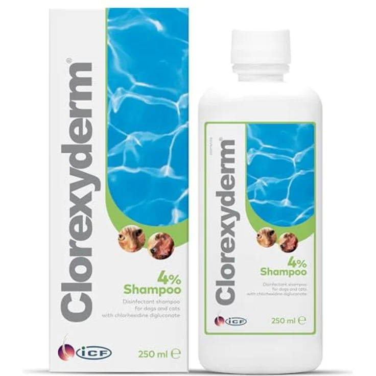 ICF Clorexyderm 4% Shampoo für Hunde, Katzen & Pferde | Tiefenreinigung, Hautfeuchtigkeit & Pflege | Sanfte Formel für alle Rassen, 200ml – Bild 1