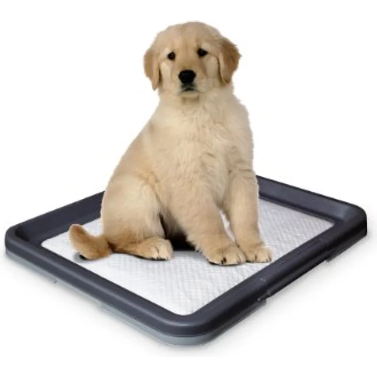 Nobby Doggy Trainer L - 62,5 x 48 x 3,8 cm