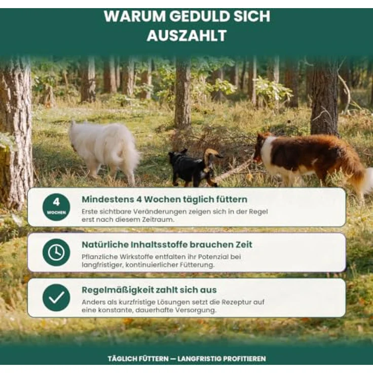 HELLOBELLO Kaltgepresste Ulmenrinde Drops für Hunde, 350g, für Gras- und Kotfresser, getreidefrei, mit Lammfleisch – Bild 4