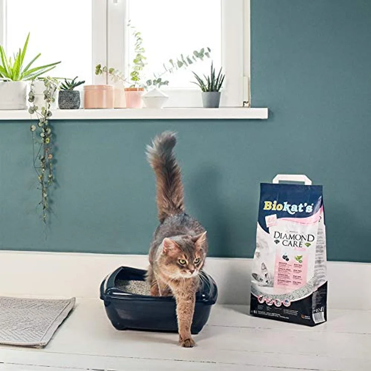 Biokat's Diamond Care Fresh, feine Katzenstreu mit Aktivkohle und Aloe Vera, 8 L, mit Babypuder-Duft – Bild 4