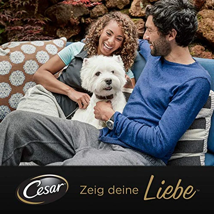 Cesar Hundefutter, Nassfutter mit Rind-, Leber-, Truthahn- und Hühnerstückchen in Pastete, 150 g Schale – Bild 2