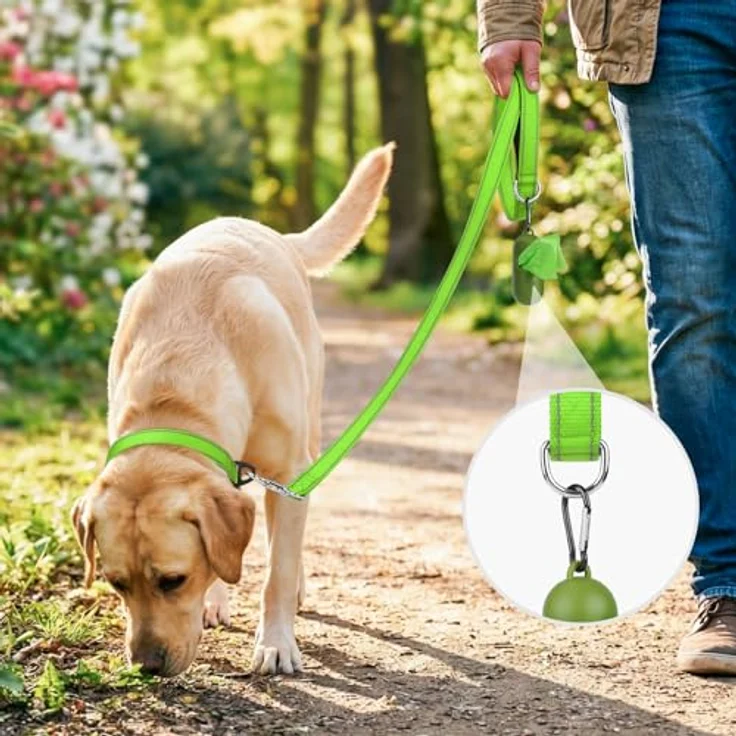 Joytale Hundeleine für Große und Mittelgroße Hunde, Doppelseitig Reflektierende Nylonleine mit Gepolstertem Griff, 1,8m x 2,5cm, Grün – Bild 2
