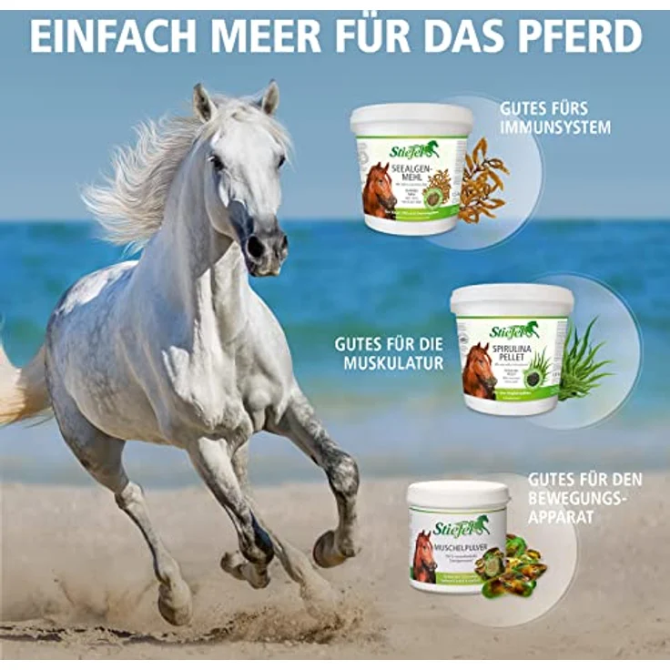 Stiefel Seealgenmehl für Pferde, 100% naturbelassene Seealgen, unterstützt Haut & Fell sowie das Immunsystem, 1,5 kg – Bild 3