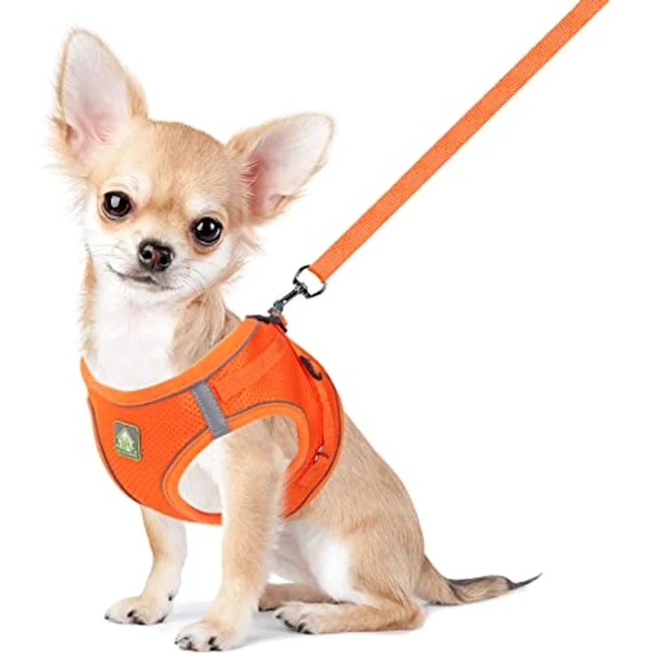 FEimaX Hundegeschirr mit Leine für kleine und mittelgroße Hunde und Katzen, atmungsaktives Mesh, verstellbar, reflektierend, No Pull Weste, Schwarz – Bild 1