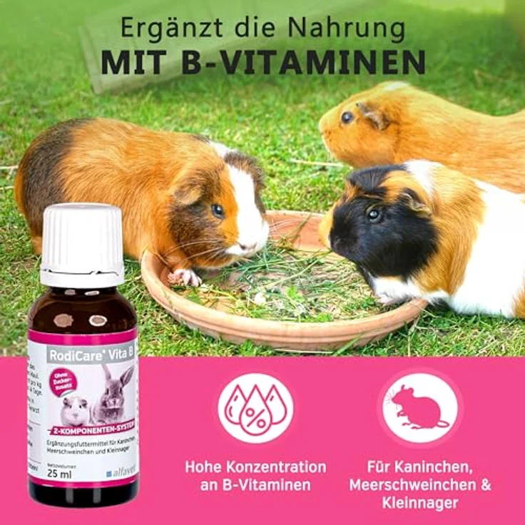 Alfavet RodiCare Vita B, B-Vitamine Ergänzungsfuttermittel für Kaninchen, Meerschweinchen und Kleinnager, 25ml mit Dosierspritze, hochkonzentriert und ohne Zuckerzusatz – Bild 2